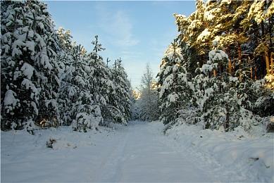 Eidos蒙特利尔曾开发过《最终幻想15》 但被SE放弃