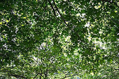 2023年Q1英美最赚钱游戏排名《霍格沃茨之遗》登顶